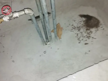 广阳卫生间测漏水价格明细